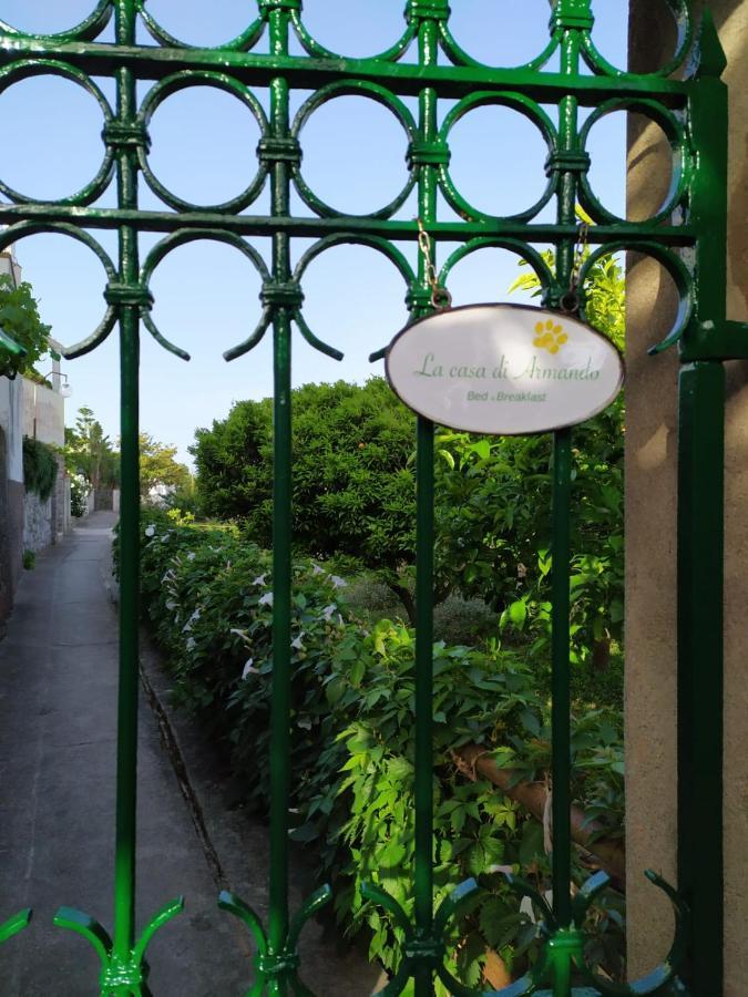 Bed and Breakfast La Casa Di Armando Capri Zewnętrze zdjęcie